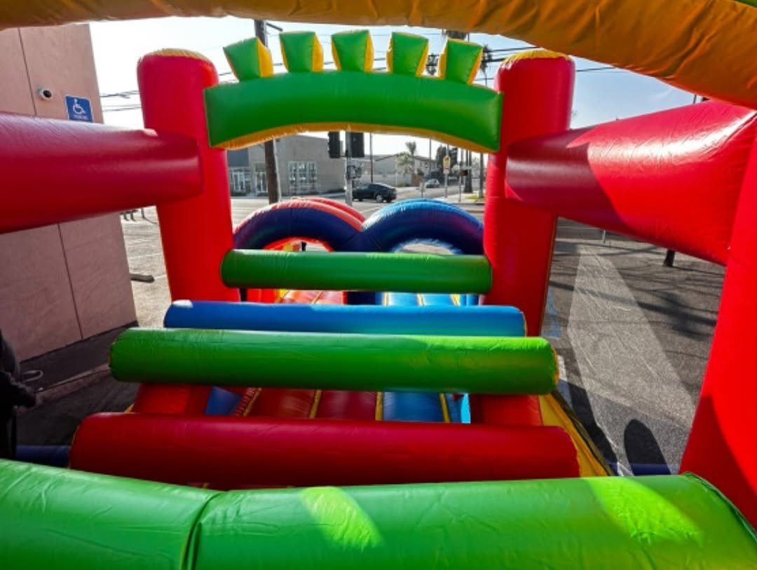 Lady B Medium Obstacle Course