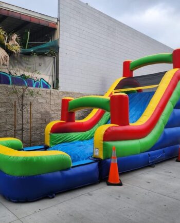 Lady B Medium Obstacle Course