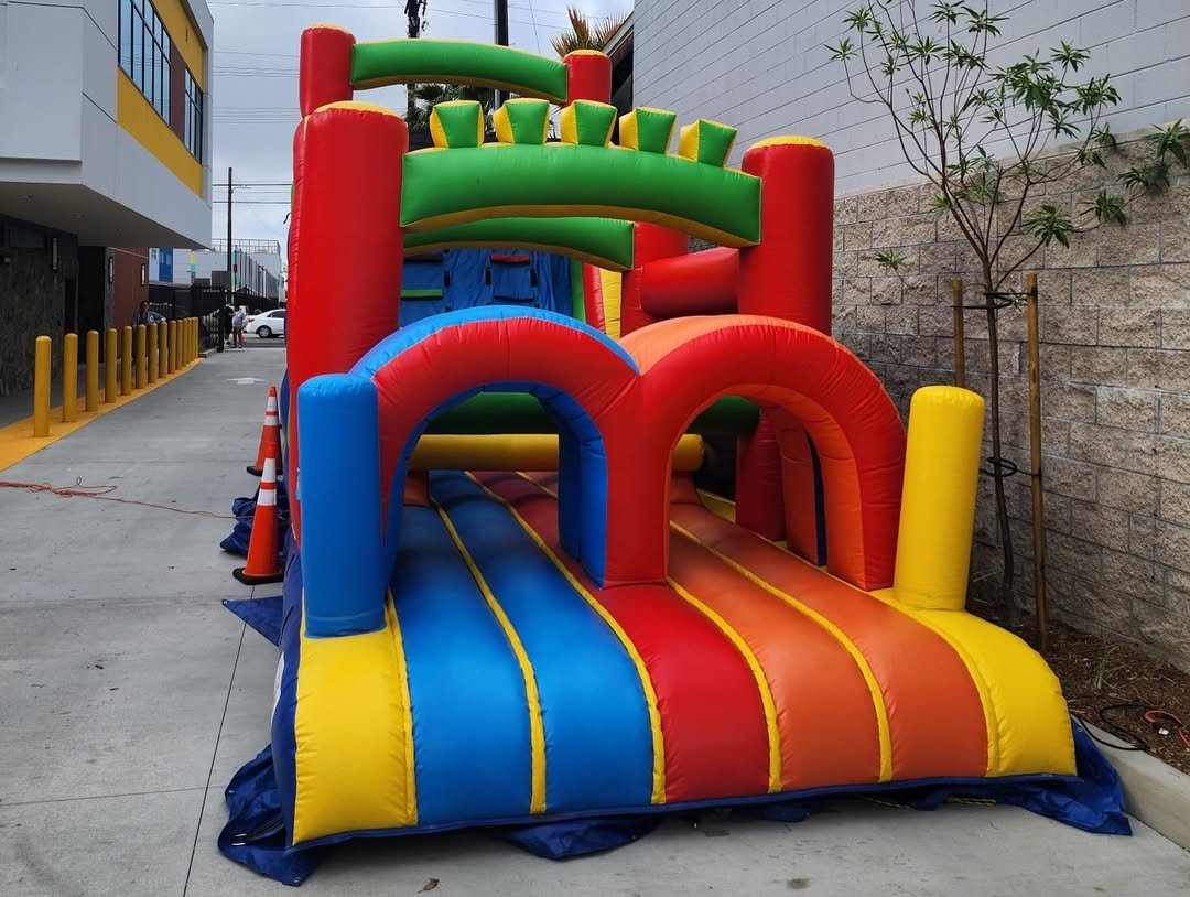 Lady B Medium Obstacle Course