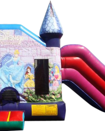 4&1 Disney Princess Combo