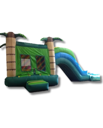 4&1 Tropical Water Slide Combo