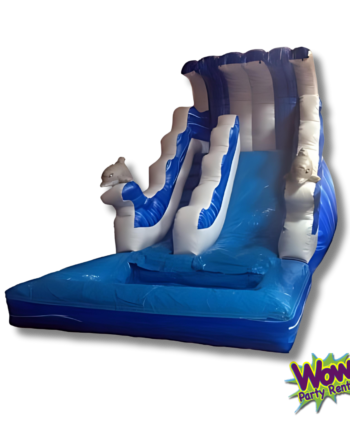 Dolphin Water Slide