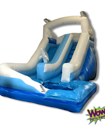 Mega Marble Dolphin Water Slide