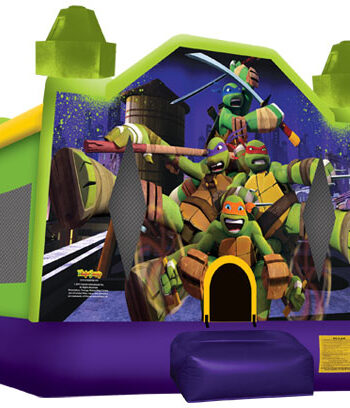 Teenage Mutant Ninja Turtles 2