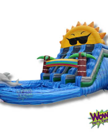 Tropical Dolphin Double Water Slide